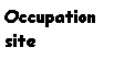 Text Box: Occupation
site